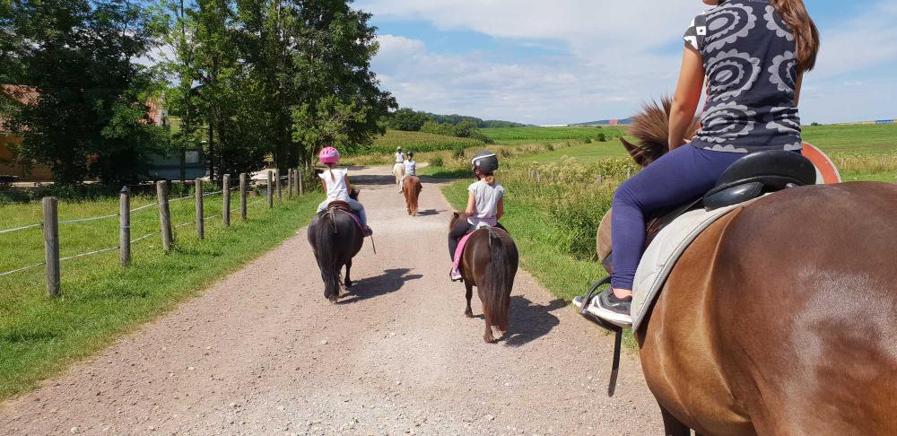 ballade-poney