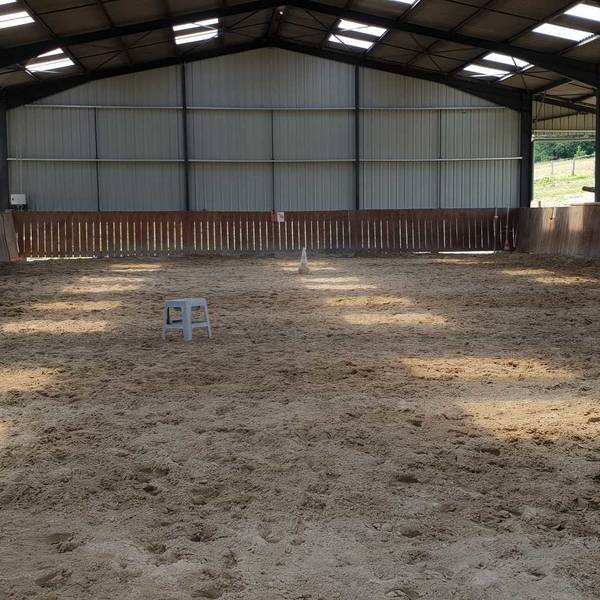 manege-poney