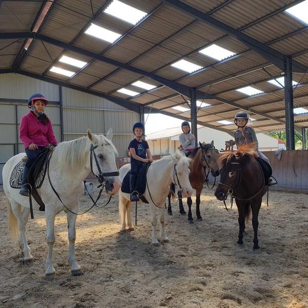 cours-cheval