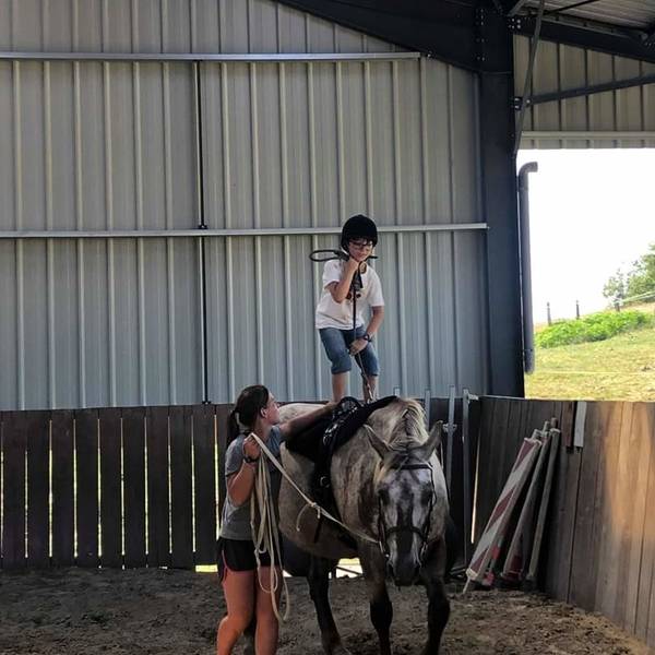 equitation-ecurie-de-la-source
