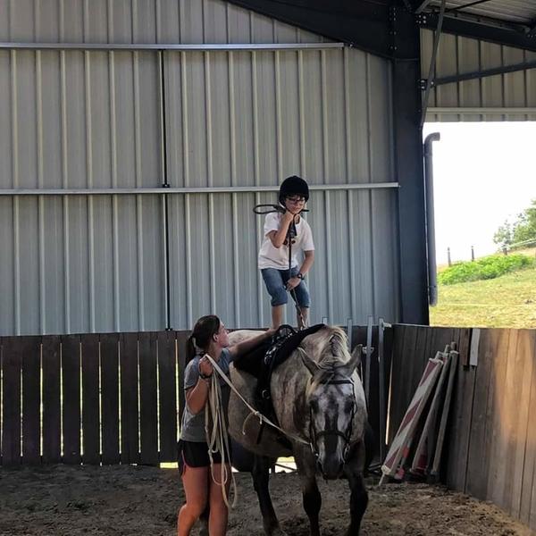 equitation-ecurie-de-la-source