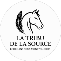 logo-2
